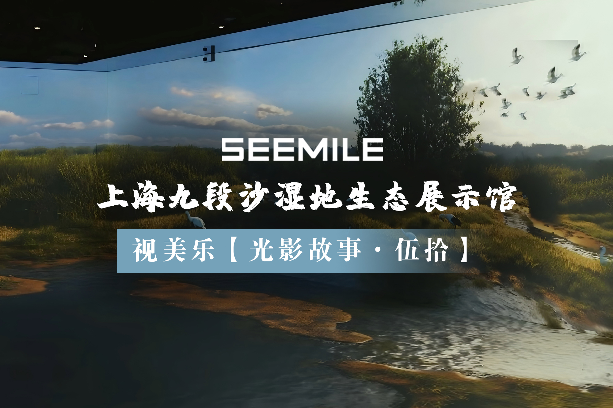 光影探秘九段沙，視美樂以創(chuàng)新投影技術(shù)演繹濕地生態(tài)自然秀
